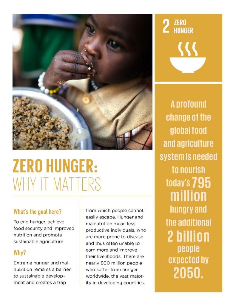 essay about zero hunger
