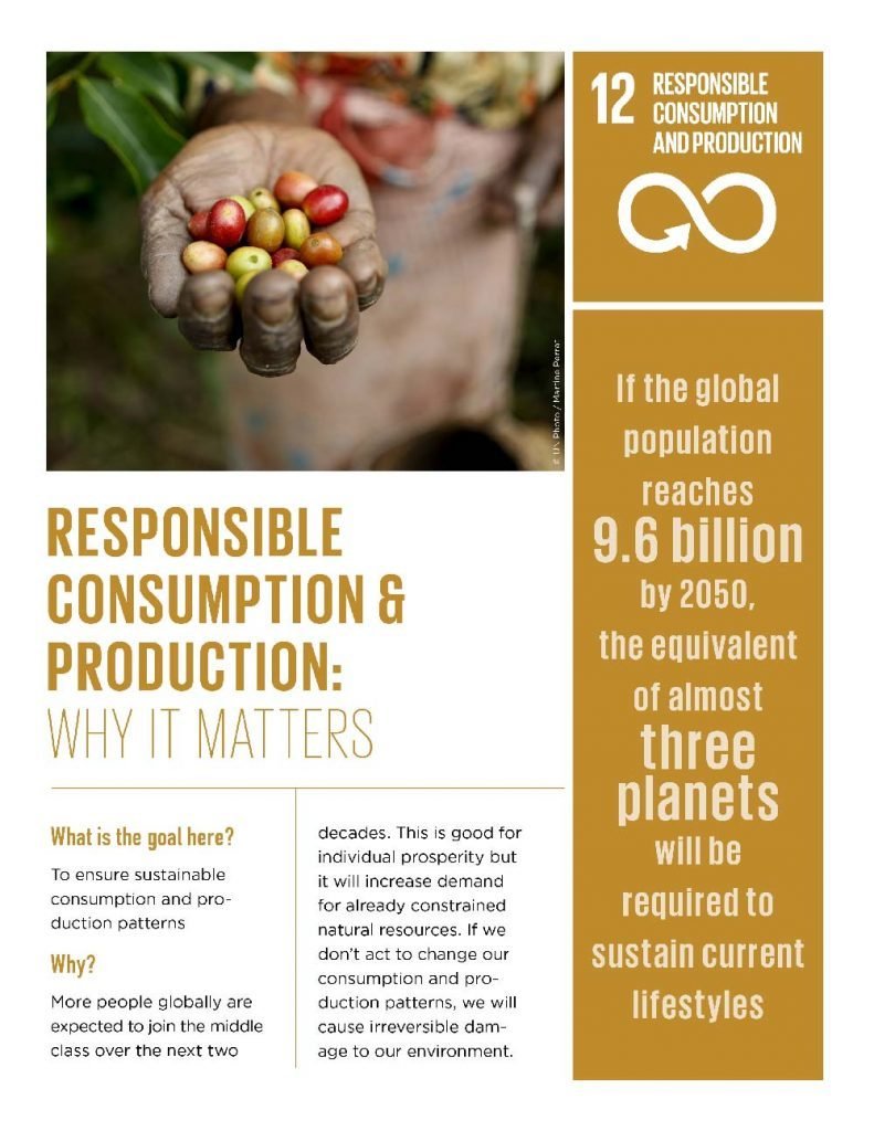 RESPONSIBLE CONSUMPTION & PRODUCTION: WHY IT MATTERS
