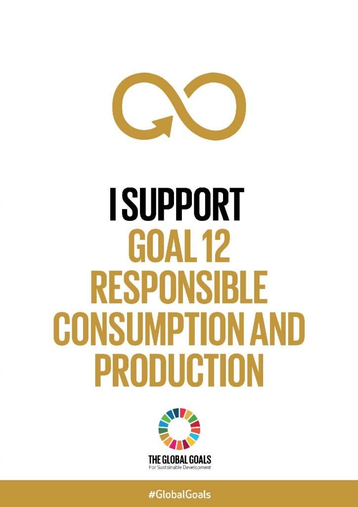 I support goal 12 responsible consumption and production - poster