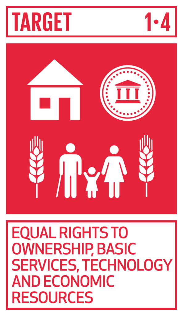 Equal rights to ownership basic services technology and economic resources