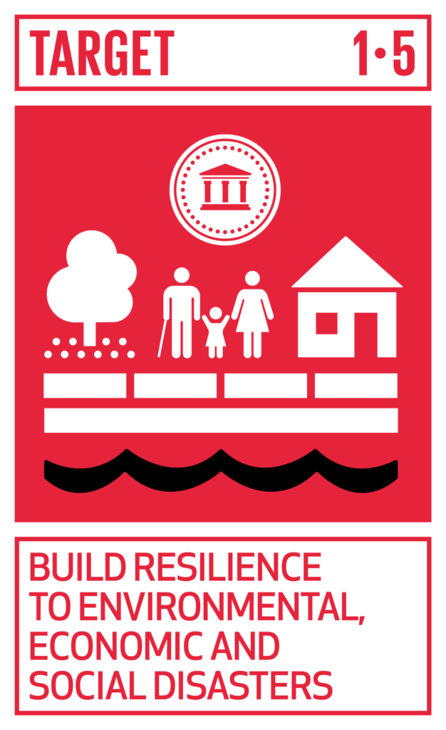Build resilience to environmental, economic and social disasters