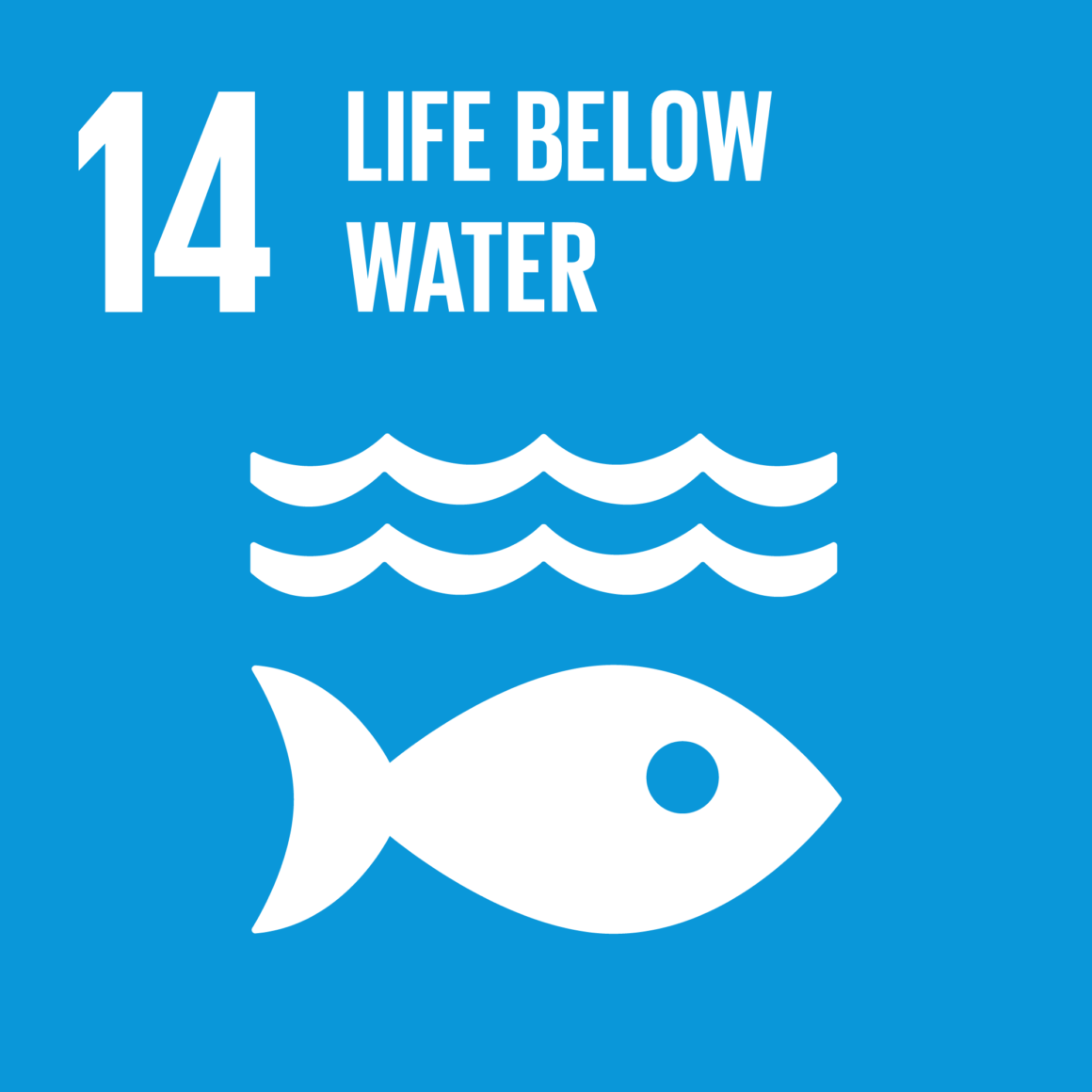 life-bellow-water-17-global-goals