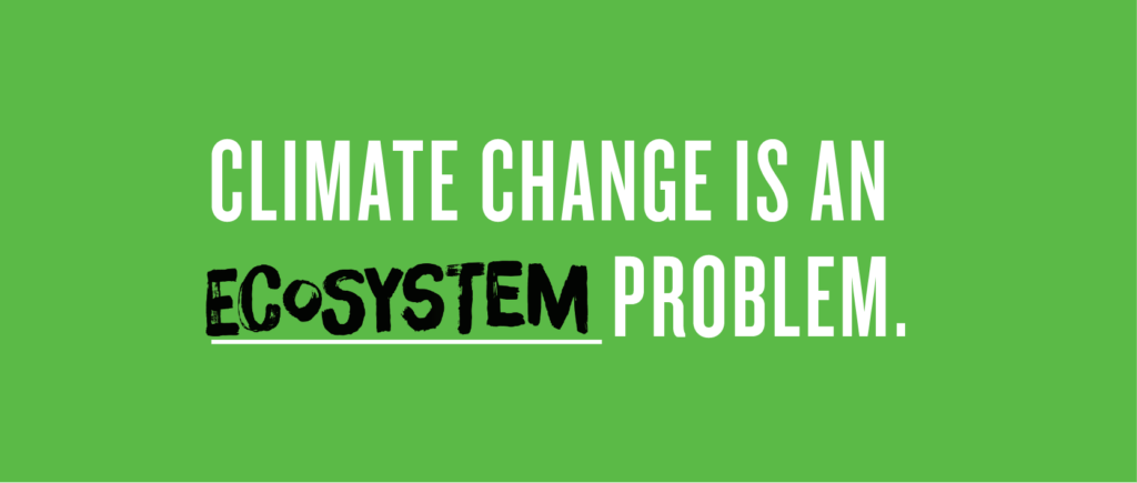 Climate change is an ecosystem problem