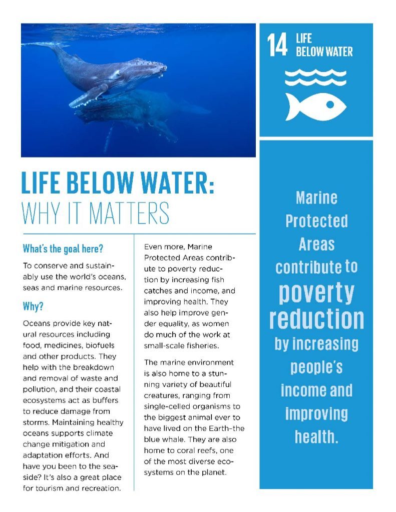 Life below water: Why it matters