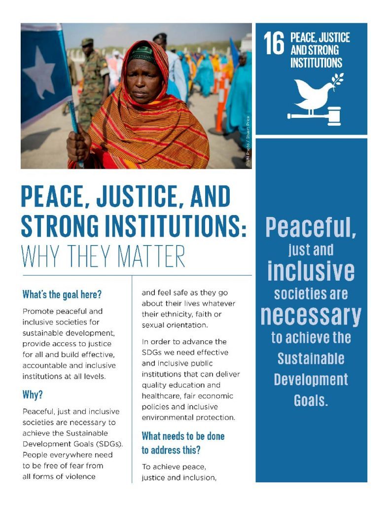 Peace Justice and Strong Institutions - Why they matter