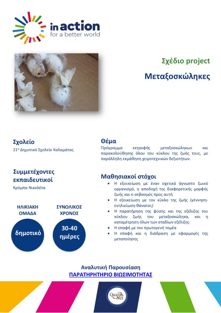 Σχέδιο project - Μεταξοσκώληκες