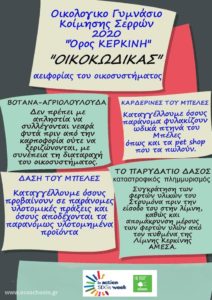 3386-3354-oikokodikas