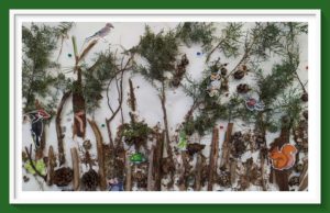 our forest